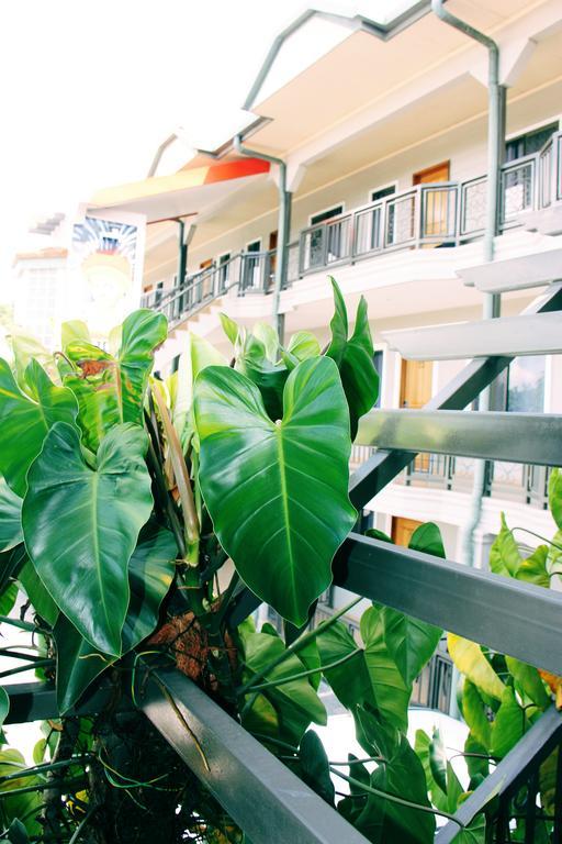Citi Serviced Apartments And Motel - Korobosea Boroko Buitenkant foto